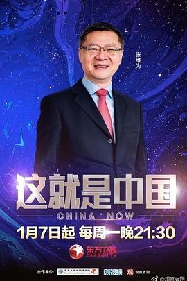 日韩亚洲欧美专区在线观看海报
